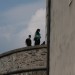 mini-IMG_1412
